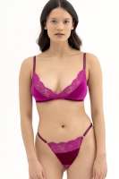 Molly Briefs